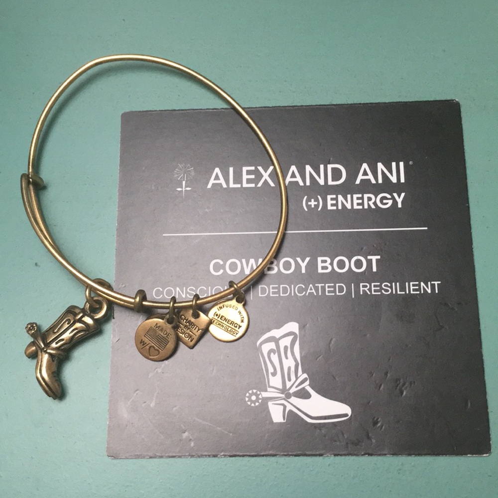 Alex and ani bangle